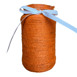 Glass Vase Orange Cord | 13.5*7 CM